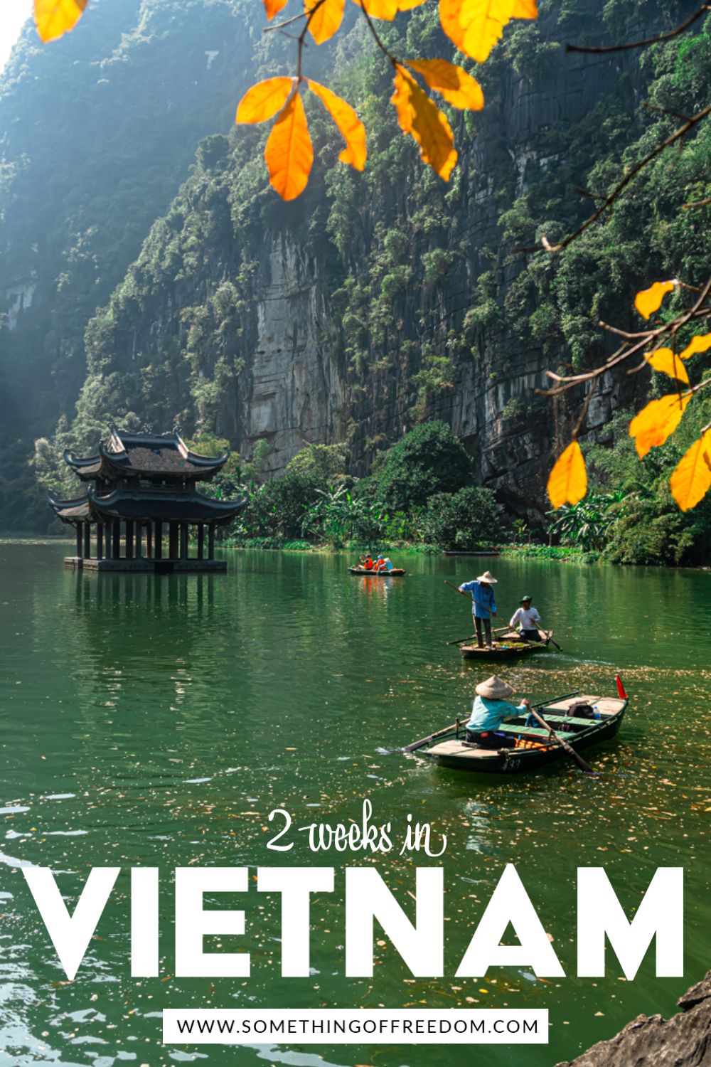 Hương vị đích thực của Việt Nam: Từ Bắc đến Nam