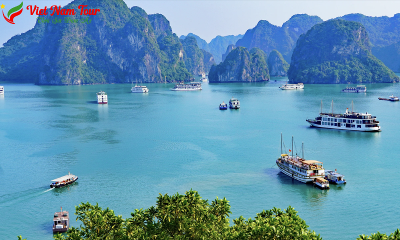 Tour Hải Phòng 1 ngày