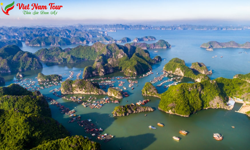 Đi cát bà từ Hà Nội như thế nào" nhanh nhất, tiết kiệm nhất (không lo tắc phà)