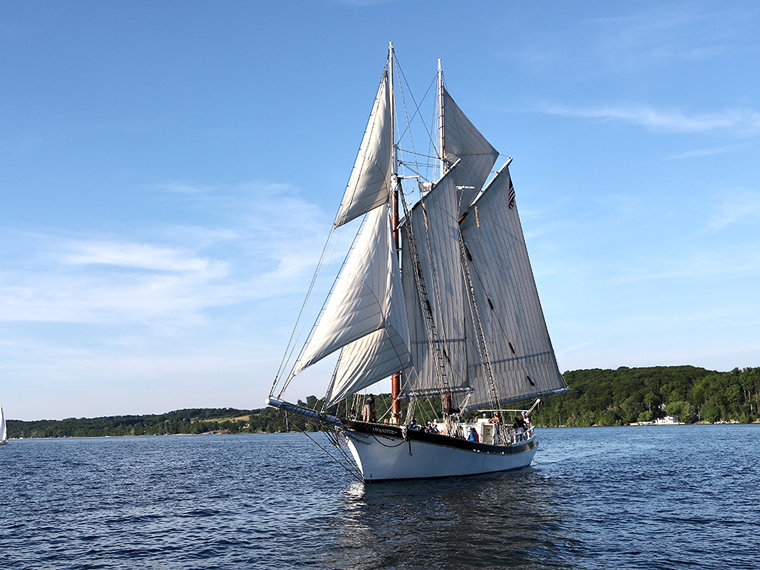 Giấc mơ xanh TC-20